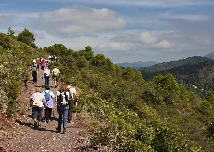Al4-1916 - - Alcazaba Lagoon Эстепона